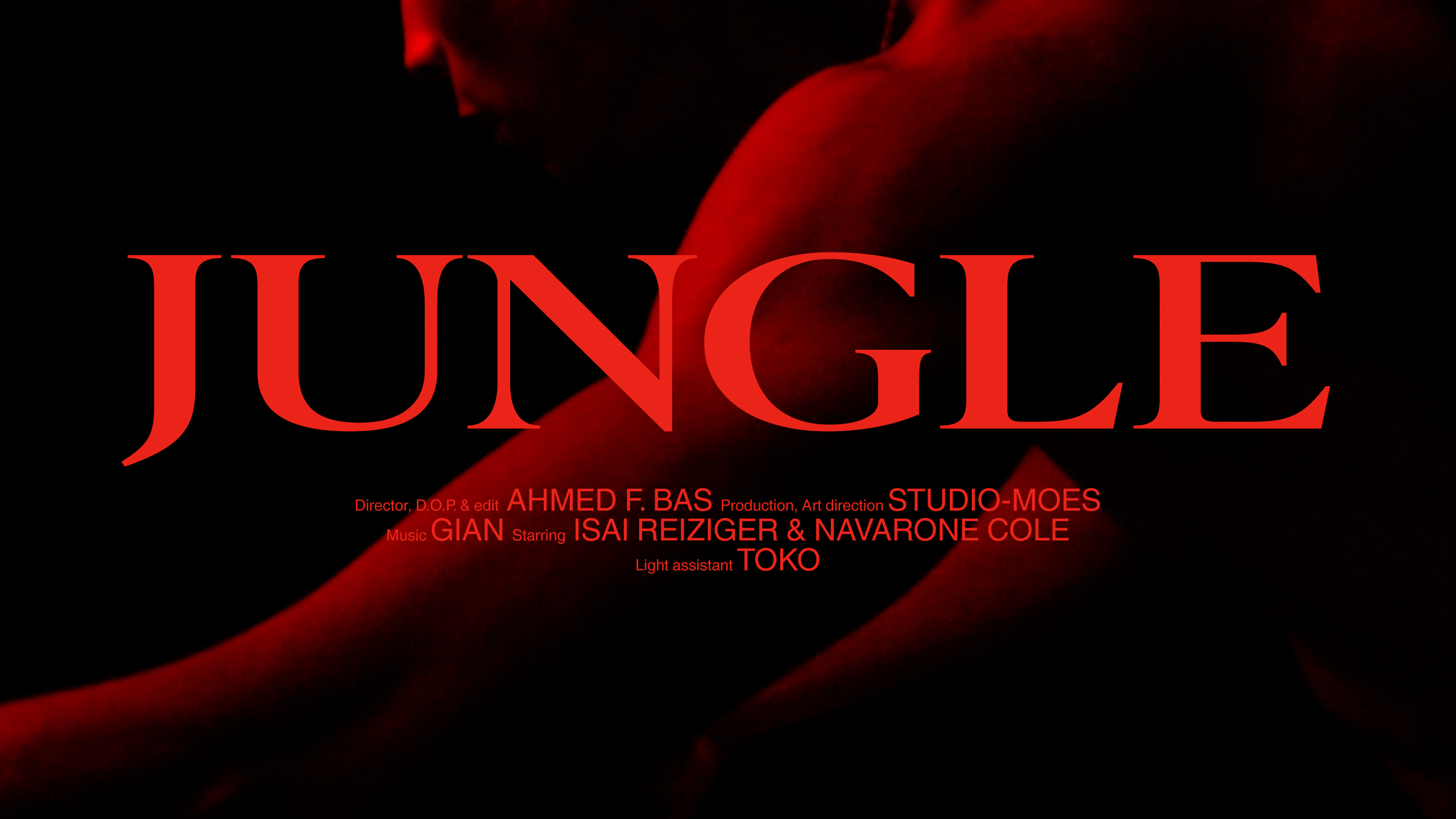 JUNGLE-logo-web_card